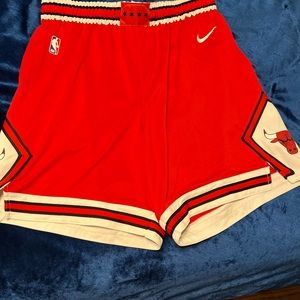 Nike Engineered Chicago Bulls NBA Swingman Basketball Shorts